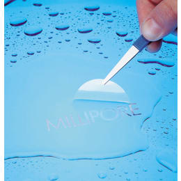 オムニポアメンブレンフィルター JMWP01300 100枚