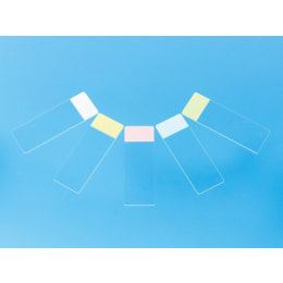 【販売終了】松浪硝子工業 ベーシックフロスト ホワイト 白縁磨 No.2 100枚 S0021