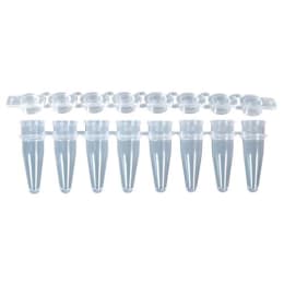 リアルタイムPCR8連チューブ&8連フラットキャップ 0.2mL ナチュラル MB-Q200 960入
