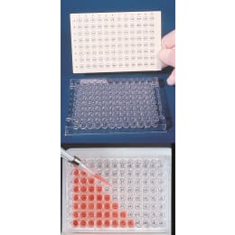 ウェルオリエンター 48穴用 4入り
