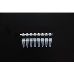 PCR用8連チューブ ドーム BRG-DC-01 120ストリップ