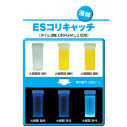 ESコリキャッチ10 TN4006 100入