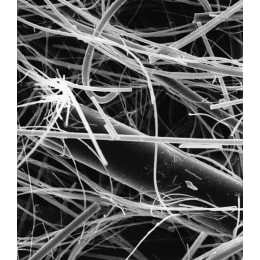 メルク ミリポア グラスファイバーフィルター 100枚 AP1509000