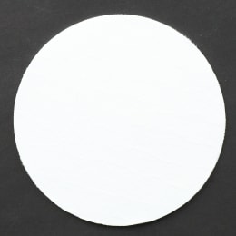 桐山ろ紙 GFP φ95 10枚入