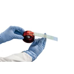 アガーストリップYM 50個入 1.44242.0050