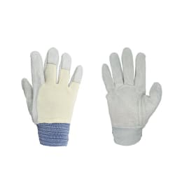 牛床革手袋 甲メリヤス フリー 袋入 1双