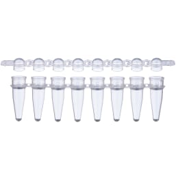 0.2mL PCR 8連チューブ+8連ドームキャップセット 137-532C 1200入