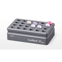 CoolRack® XT M24 1.5mL/2mL×24本 グレー BCS-535