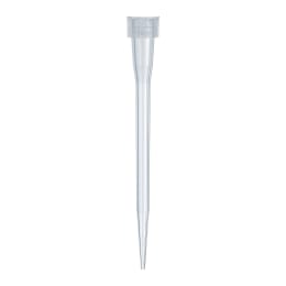 【販売終了】チップのみ SS型 0.5-10μL 1000本入