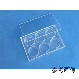 硝子製マイクロプレート 本体/中板付 B-4 12ウェル