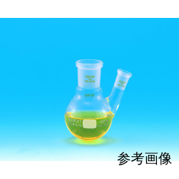 【販売終了】NS(共通摺合せ)二口なすフラスコ 500mL 29-19