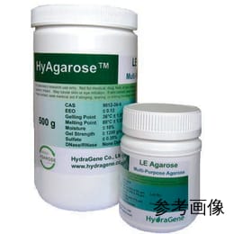 ハイアガロース HR PCR 粉末 100g