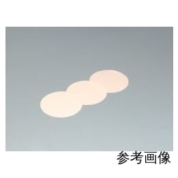PTFEメンブランフィルター φ90 FP-100 10枚入 F-3016-009-100