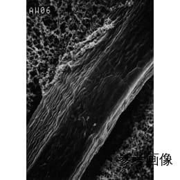 メルク ミリポア 補強済メンブレンフィルター RW03タイプ 100枚 RW0304700