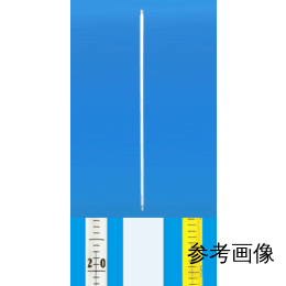 足長水銀棒状温度計黄管 0~300℃浸360 L900