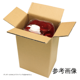 SBケース 5L (スパウトバッグ5L用 ダンボール)