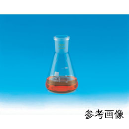 【販売終了】NS共通摺合せ三角フラスコ 300mL 29/32