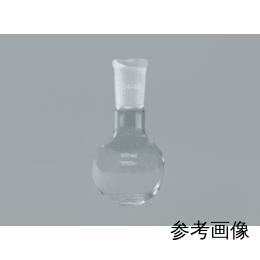 共通摺合丸底フラスコ 300mL 24/40 IWAKI