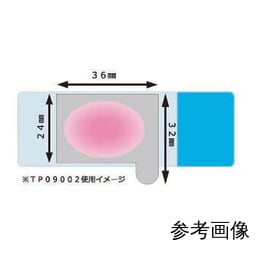 ティシュー・プロテクター L 10シート入 TP09001