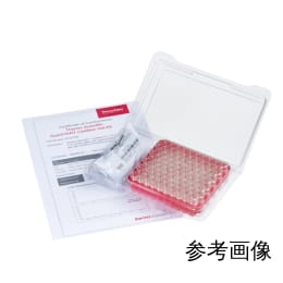 証明書付バイアルキット 2mL 透明 6PMSCK534W 100本
