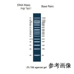 1kb DNAラダー PLUS NE-MWD1P 500μL