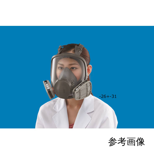 ３Ｍ 防毒マスク全面形面体 ６０００Ｆ Ｌサイズ 6000F L 422-3837
