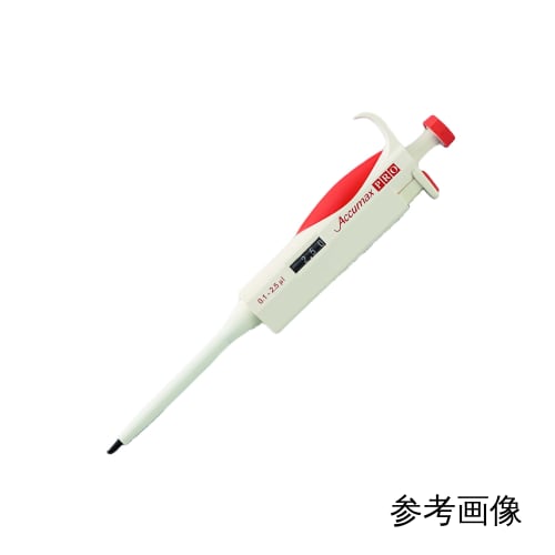 世界最大　ノコギリエイ 吻　骨格標本　セット販売　Pristis Pristis 世界最大 ノコギリエイ 吻 骨格標本 セット販売 Pristis Pristis