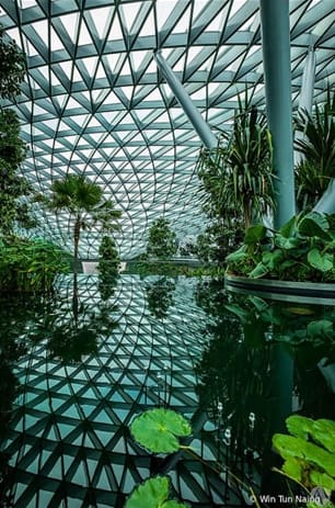 Canopy Park