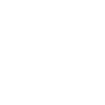 Win Tun Naing logo