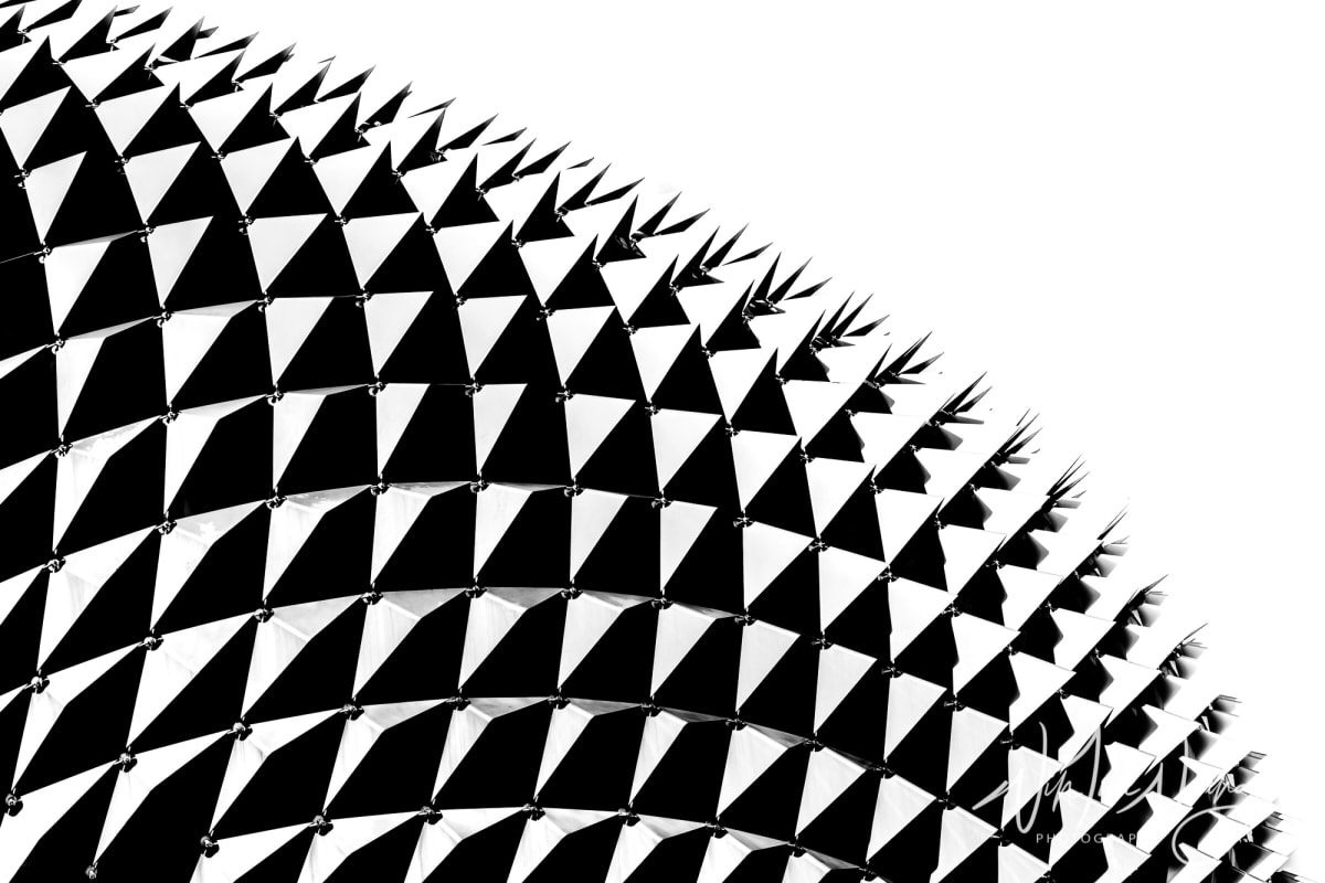The Durian — View 06