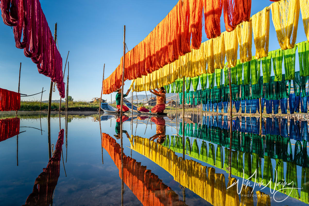 Colorful Lotus Fabric — View 07