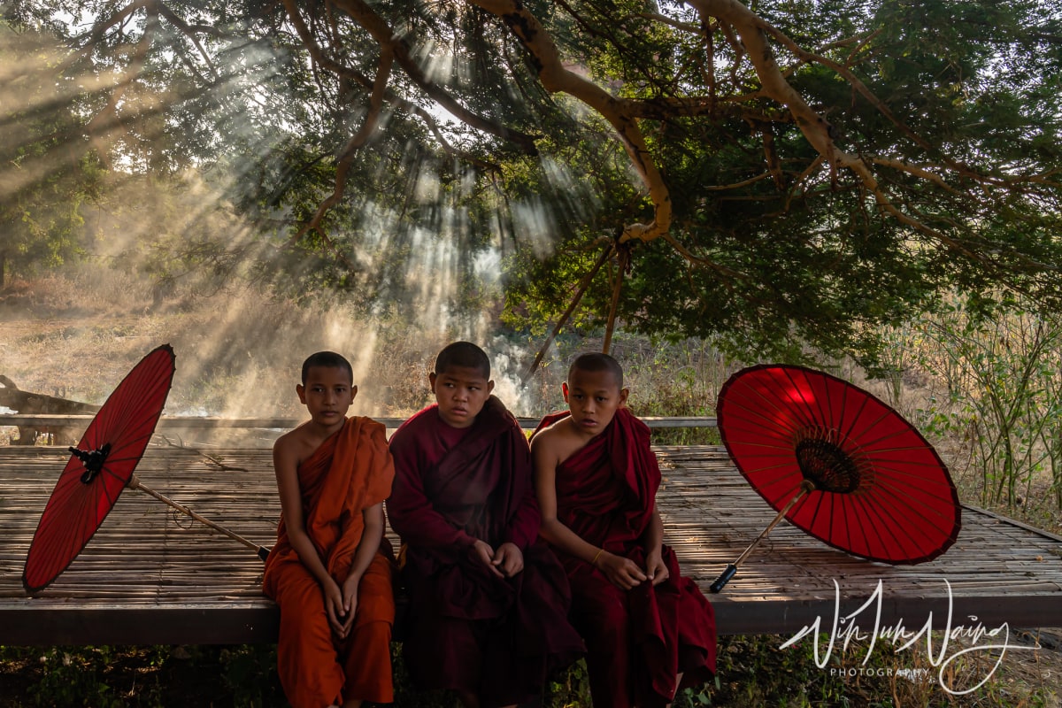 Novices with Rays of Sunlight I — View 10