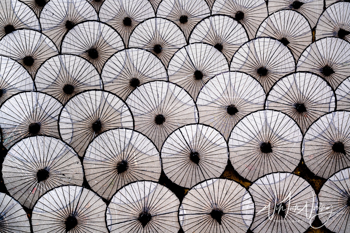 Umbrellas