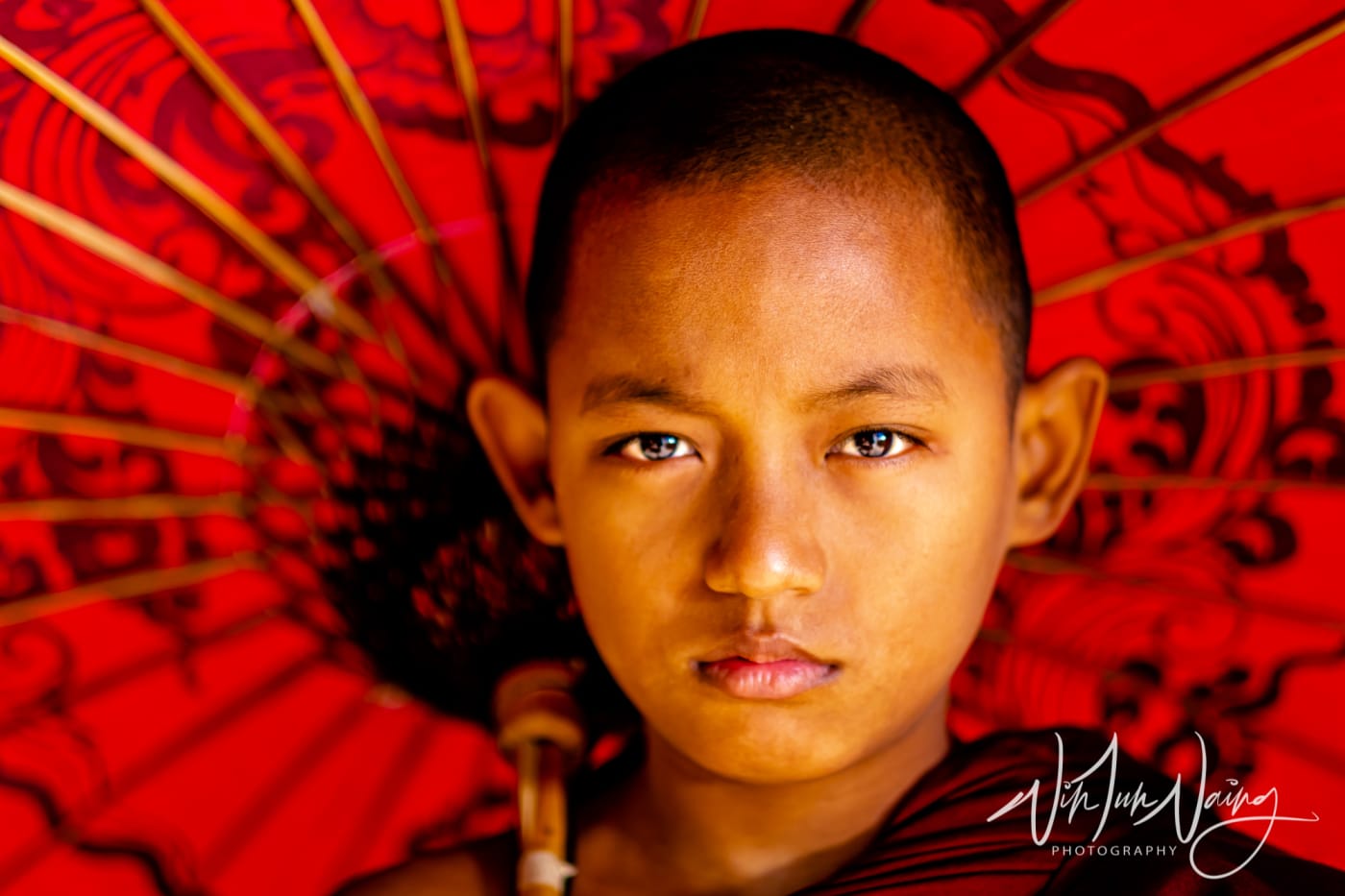 A Novice Portrait