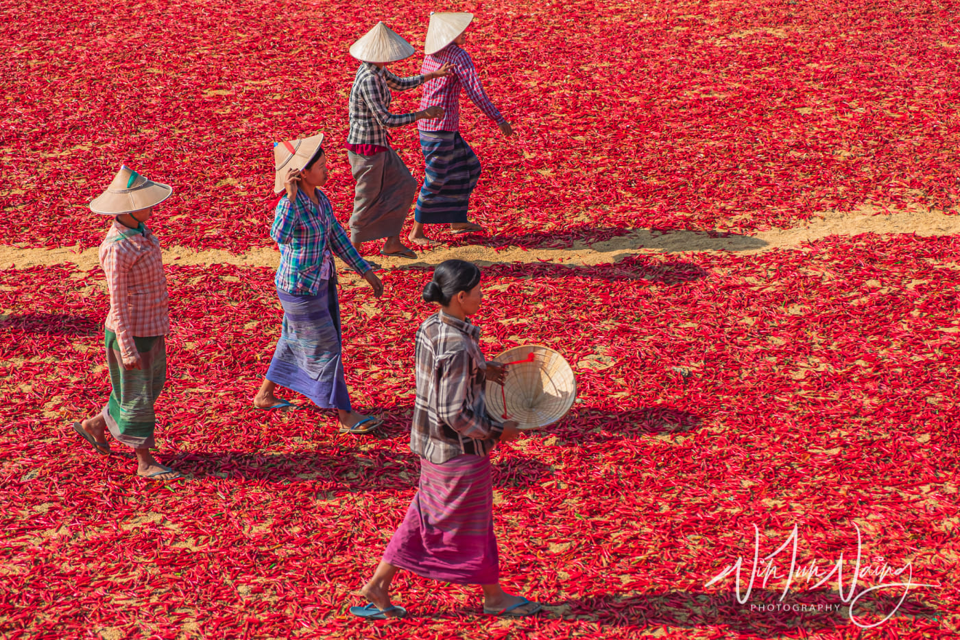 Red Chillies — View 03