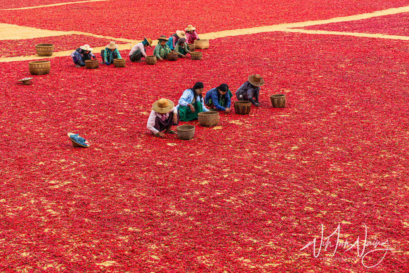 Red Chillies — View 07