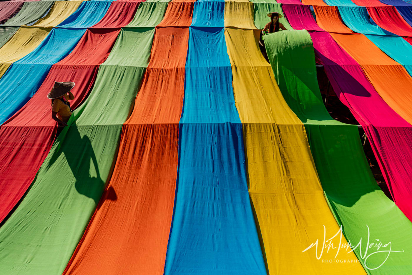 Colorful Lotus Fabric — View 03