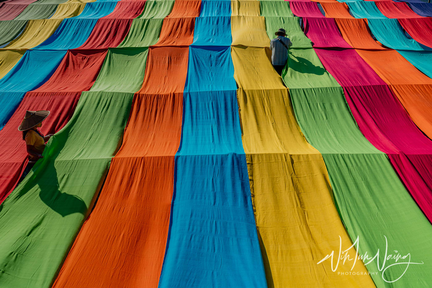 Colorful Lotus Fabric — View 10