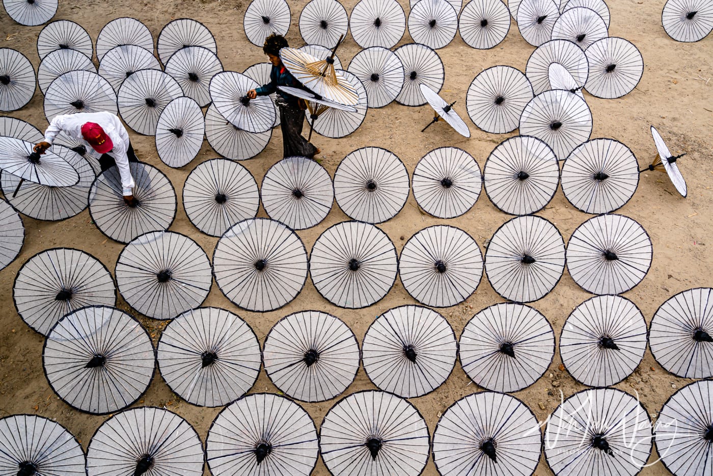 Drying Umbrellas