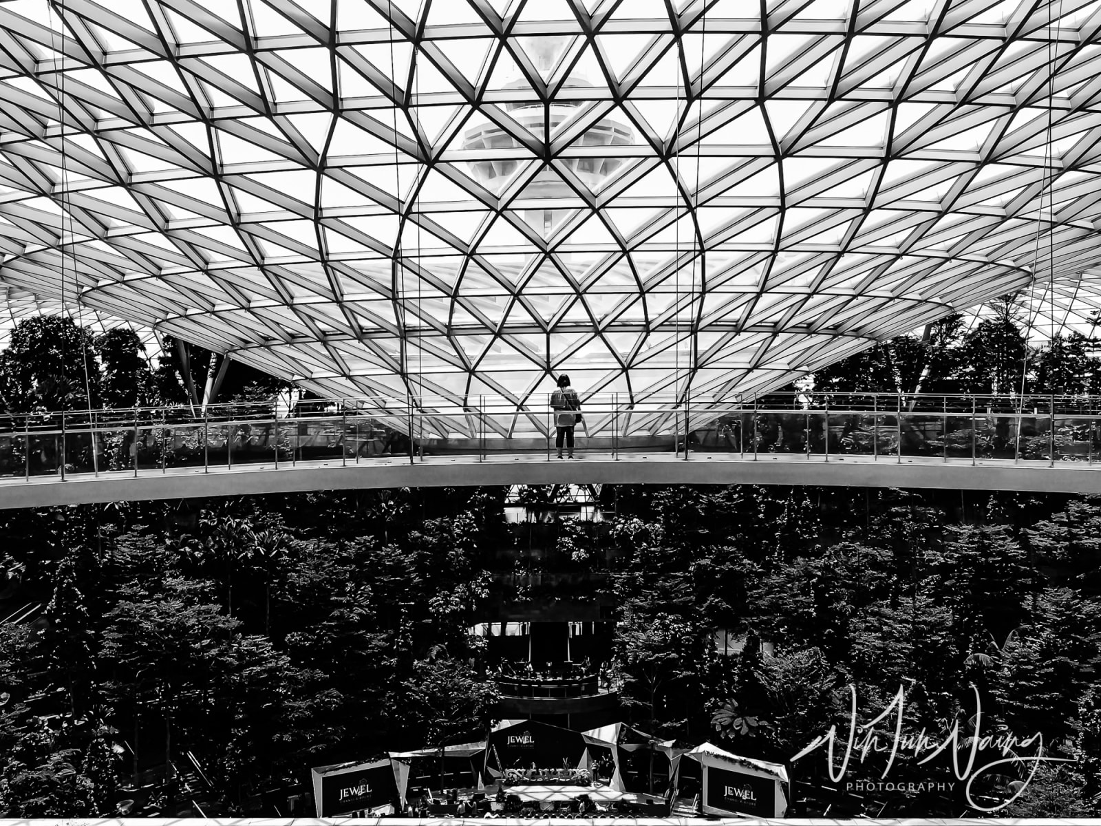 Jewel Changi Airport I — View 01