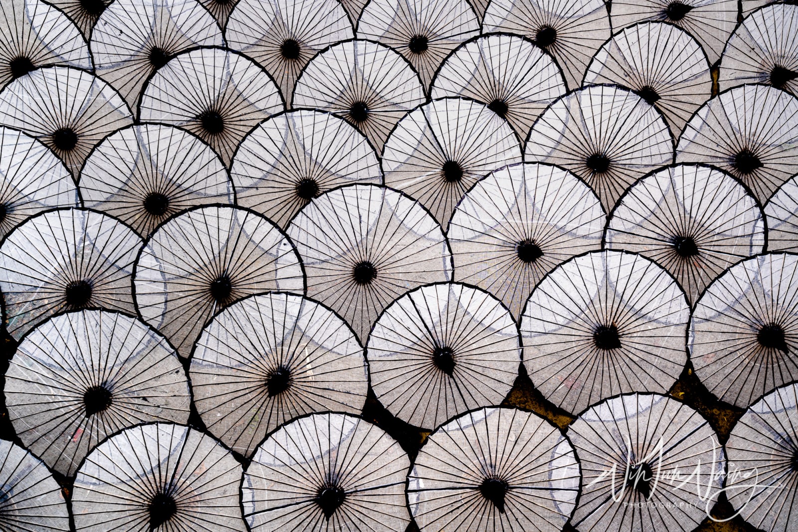 Umbrellas — View 01