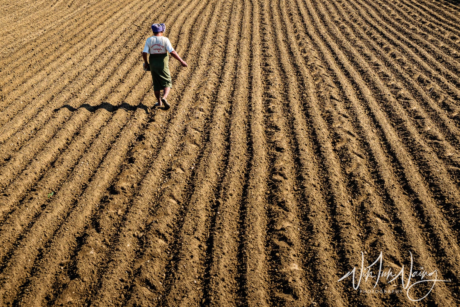 The Sower — View 01