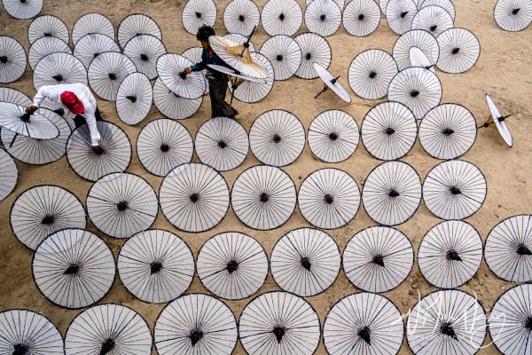 Drying Umbrellas