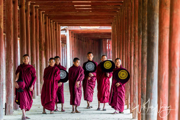 Novices Are Going to Preach II