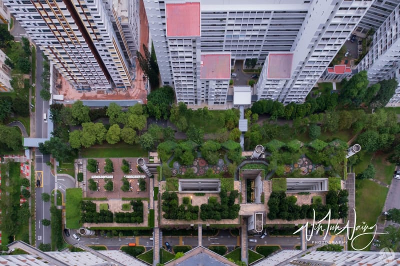 Landscape Design