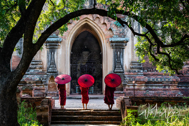 Novice Monks