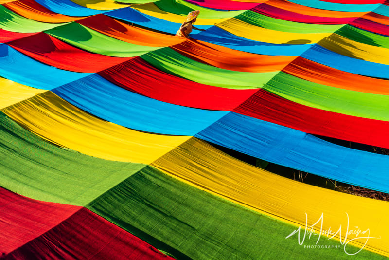 Colorful Lotus Fabric