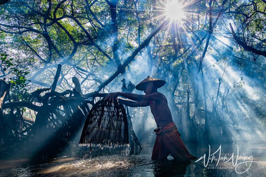 Fishing in the Rivulet