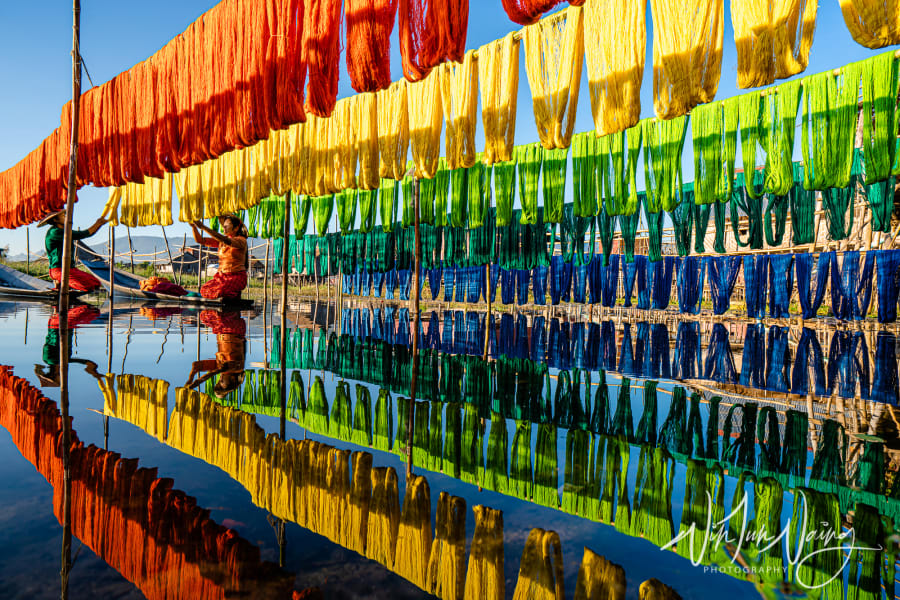 Row of Lotus Fabric