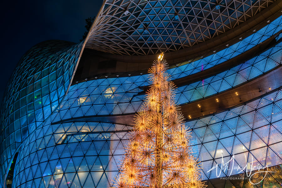 Ion Orchard